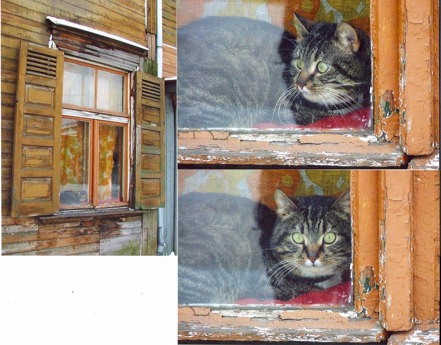 anita-14.jpg